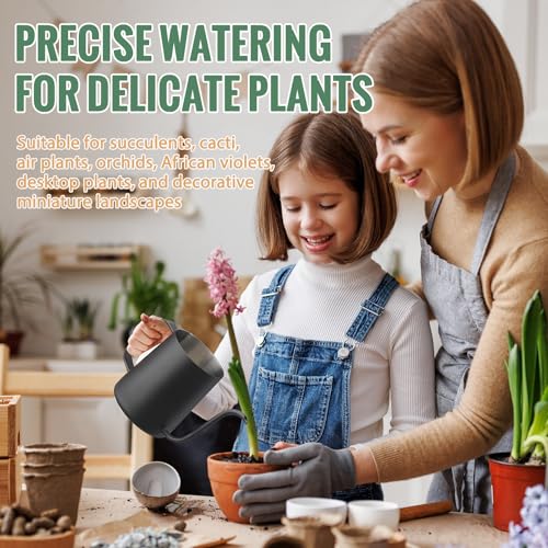 Small Watering Can Indoor Plants 20 OZ Mini Metal Watering Can Leakproof - color: Black 600
