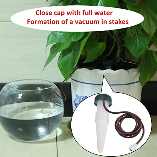 24 Pack Hestya Automatic Plant Self Watering Stakes for Outdoor