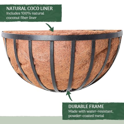 Arcadia Garden Products 1527 Half Round Circle Wall Mounted Planters with Coco Liner 16"