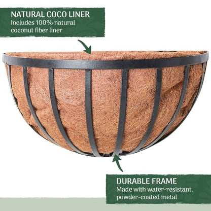 Arcadia Garden Products 1527 Half Round Circle Wall Mounted Planters with Coco Liner 16"