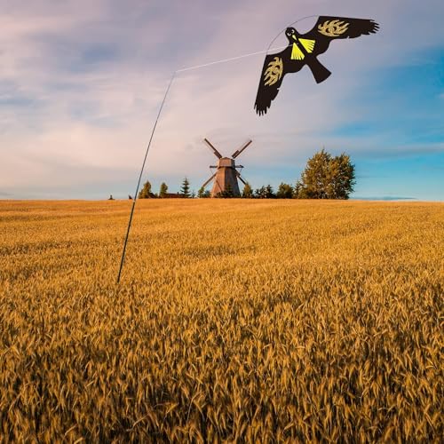 Bird Scarer Kite Without Pole Bird Hawk Flying Kite-Style E - color: Style E no pole