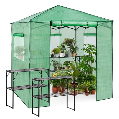 EAGLE PEAK 7x7 Easy Setup Pop Up Greenhouse, 2 Folding Shelves, Clear/Green - color: Clear/Green, size: 7x7
