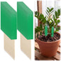 36 Pcs Green Sticky Traps for Plant Gnats, Fungus Gnat Trap (4" x 1") - color: Green