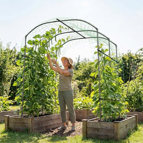 DoCred 87''H x 75''L Garden Arch Trellis, Metal Trellis for Climbing Plants - size: 75'' L x 71'' W x 87'' H/Black