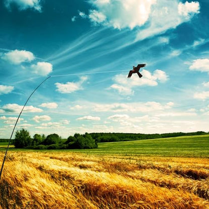 eyijklzo Bird Scarer Hawk Flying Kite with 13ft Telescopic Pole-Black - style: Black-with 4m pole