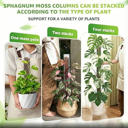 Sisher 6 Pcs Monstera Moss Pole,Plastic Moss Poles for Climbing Plants - size: 6 PACK