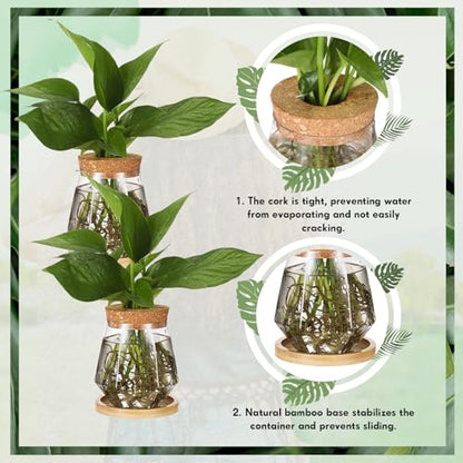 Baderke 12 Pack Propagation Vases for Plants, Cup Style - color: Transparent