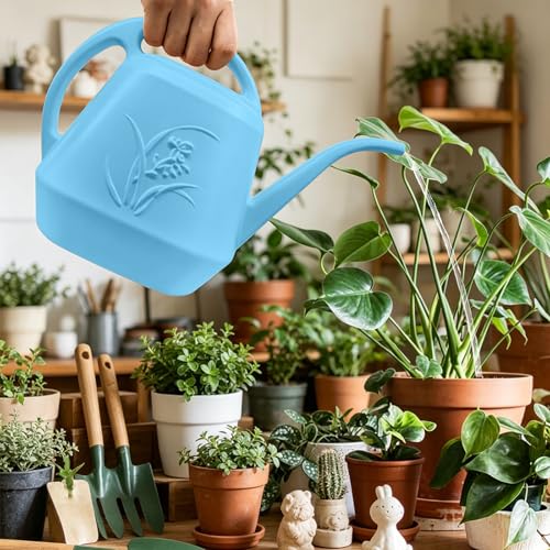 Plant Watering Can - Sky Blue - 1/2 Gallon - color: Sky Blue