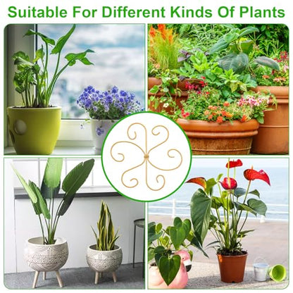 COMNICO Plant Stem Support 6 Pcs Monstera Durable Metal Plant Holder Stakes