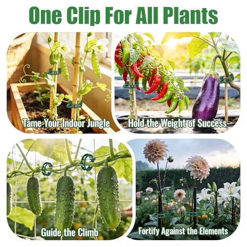 300Pcs Thickened Tomato Clips, Plant Support Clips Plastic Trellis Clips - color: Green