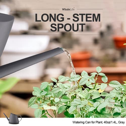 Small Indoor Plant Watering Can Long Spout 1.4L Gray - color: Gray