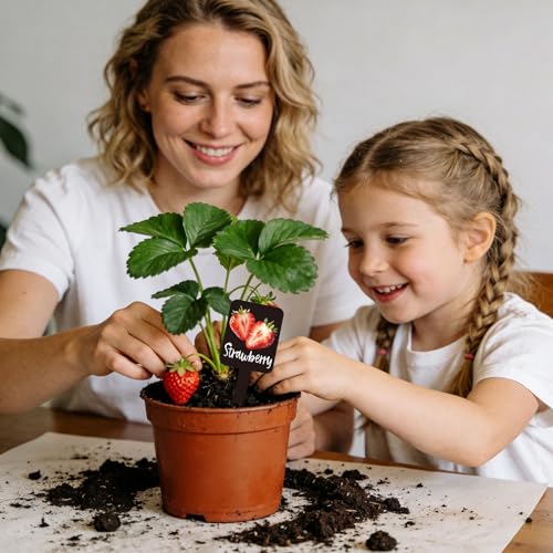 Whaline 20Pcs Watercolor Vegetable Fruit Plant Label Signs, 20 Styles - color: Black