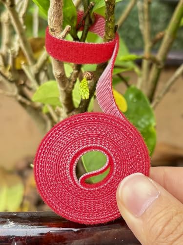 3Roll 200cm Nylon Plant Ties Self Adhesive Cable Twine Fastener Tape (Red) - color: Red