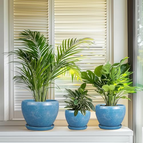 Ceramic Plant Pots, 10+8+6 Inch Ceramic Planters Indoor, Blue - color: Sky Blue