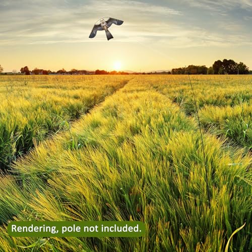 eyijklzo Bird Scarer Hawk Flying Kite Without 13ft Pole-Only Grey Kite - style: Grey-Only kite