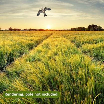 eyijklzo Bird Scarer Hawk Flying Kite Without 13ft Pole-Only Grey Kite - style: Grey-Only kite