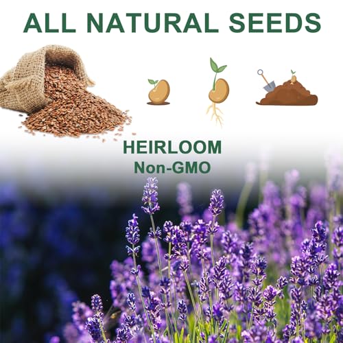 Lavender Seed Pod Kit, 8 Pod Kit (Include Seed Lavender/Chamomile/Holy Basil/Borage/Calendula/Mint) Fresh Tea Seed Pod Kit Compatible with Hydroponics - color: Lavender