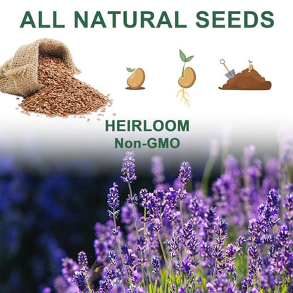 Lavender Seed Pod Kit, 8 Pod Kit (Include Seed Lavender/Chamomile/Holy Basil/Borage/Calendula/Mint) Fresh Tea Seed Pod Kit Compatible with Hydroponics - color: Lavender