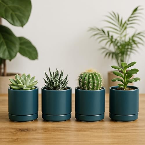 D'vine Dev 4-Pack Ceramic Pots with Saucers, Teal, 3.5 in, 94-X-A-9 - color: Teal, size: 3.5 Inch