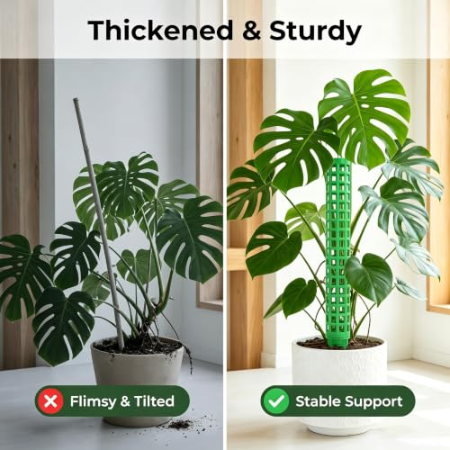 Stackable Small Moss Pole for Monstera Pothos, Fillable Support - size: 4pack,small,Green
