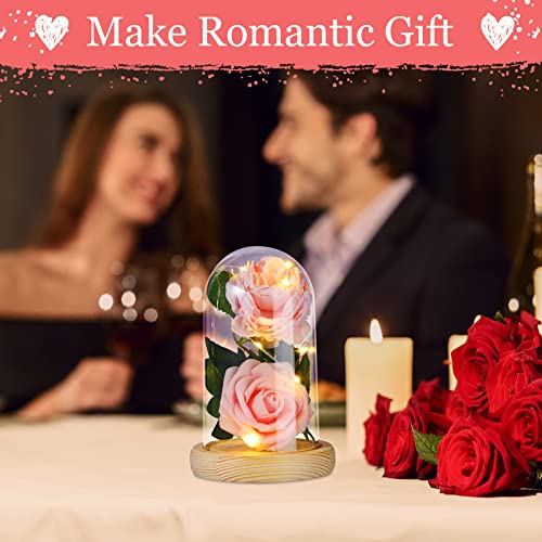 Remerry 6 Pcs Plastic Cloche Dome Display with Base and LED Light