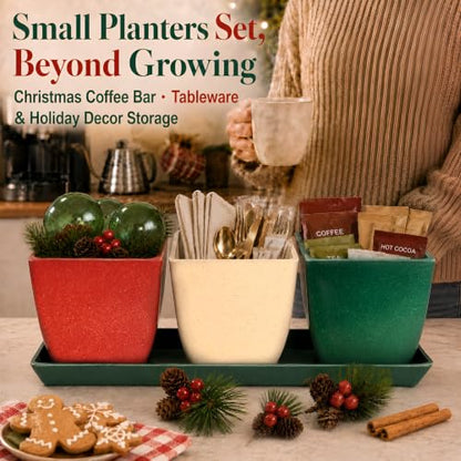 3.5" Christmas Succulent Pots, Plant Pots with Drainage Trays - color: Red,white,green