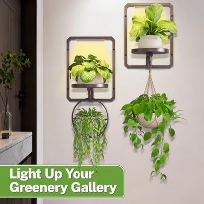 iDavosic.ly Wall Plant Picture Frame Holder Set of 2 & 2 Grow Light, Bronze - color: Bronze with 2 Lights, size: Rectangular