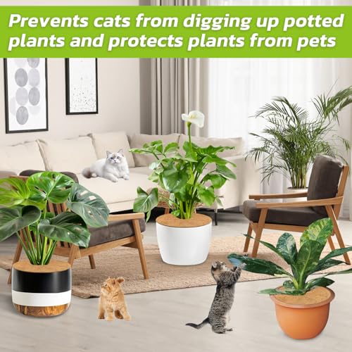 Legigo 6 Pack Coconut Fiber Mulch Ring Tree Plant Protector Mat, 18 Inch - color: 6 Pack, size: 18 Inch