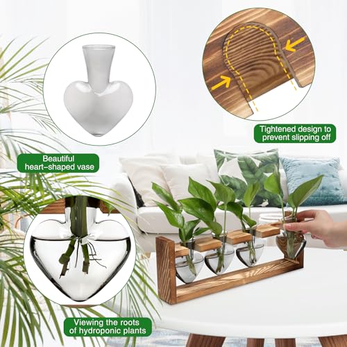 Plant Propagation Stations Heart Plant Terrarium Kit - color: Gray