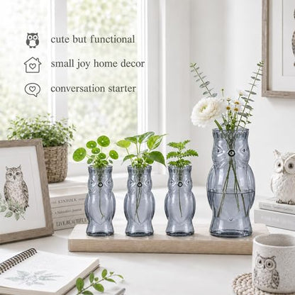 Nacome Owl Plant Propagation Station: Set of 4 Cute Grey Glass Vases - color: Gray