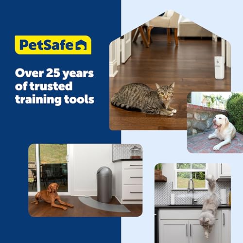 PetSafe SSSCAT Refill Can - style: Replacement Can - 1-Pack