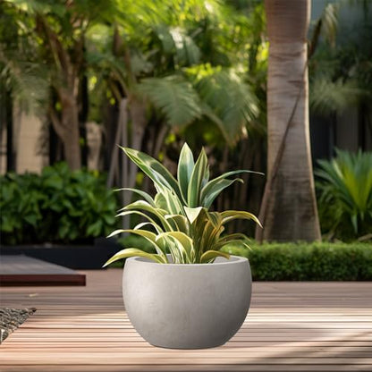 Kante Small Round Bowl Weathered Concrete Planter 11.8" Dia, Outdoor - color: Weathered Concrete, size: 11.8" d