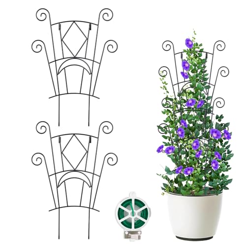 Yhtpouqe Stackable Plant Support Stakes, 2 Pack Metal Twig Plants Trellis for Indoor and Outdoor Use, Garden Accessories for House Potted Flower Monstera Trumpets 15.35 inch - size: 2 Pack