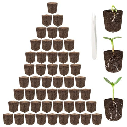 50P Seed Starter Sponge for Germinate Quickly Rapid Rooter Plug
