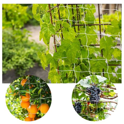 Heavy Duty Garden Trellis Netting, 6 x 15 ft, White, Rectangular, Polyester Nylon, Climbing Plant Support Netting, Garden - size: 6x15ft - 2 Pack