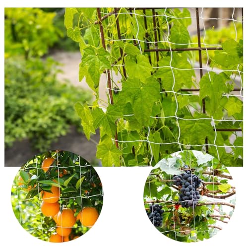 Heavy Duty Garden Trellis Netting, 6 x 15 ft, White, Rectangular, Polyester Nylon, Climbing Plant Support Netting, Garden - size: 6x15ft - 2 Pack