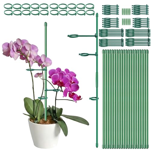 20 Set Plant Stakes 12 inch Extendable Plant Support Stakes with Adjustable Clips Rings, Flower Stem Plant Support Sticks for Indoor Outdoor Plants Stabilizer Garden Sticks for Orchid Rose Tomato - color: Green-20 Set
