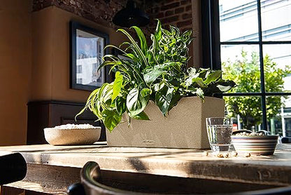 Lechuza BALCONERA Stone 50 Sand Beige, Self-Watering Window Box (Railing Planter), H7.5 L19.7 W7.5 in - color: Sandy Beige, style: 50
