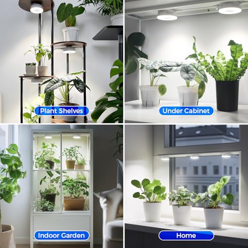 Barrina Orbgrow OG09 Puck Grow Light, 9W 5000K, 1 Pack, White - color: 5000K-White Cover, size: 1 Pack without Timer
