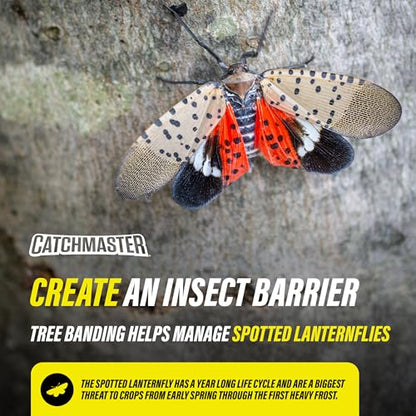Catchmaster Tree Banding Insect Barrier DIY Kit 4Pk, 15oz., Spreader, 1Kft Roll Plastic Wrap, Lanternfly & Ant Traps, Outdoor Adhesive Crawling Insect Trap to Protect Trees, Fruit & Plants - size: 4 Tubs+ 1 Spreader + 1 Wrap