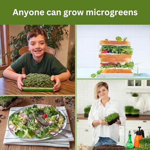 Microgreen Kit - Mister, 2 Sets of Trays, Hydroponic Medium, Organic Seeds - style: Hydroponic Confetti Kit