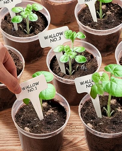 homenote 4 Inch Clear Nursery Pots with Drainage Holes for Plants (30 Pcs) - color: Transparency-no Lid, size: 4 Inch-30 Pack
