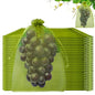 100 PCS 8"x12" Fruit Protection Bags, Reusable Fruit Tree Netting Bags