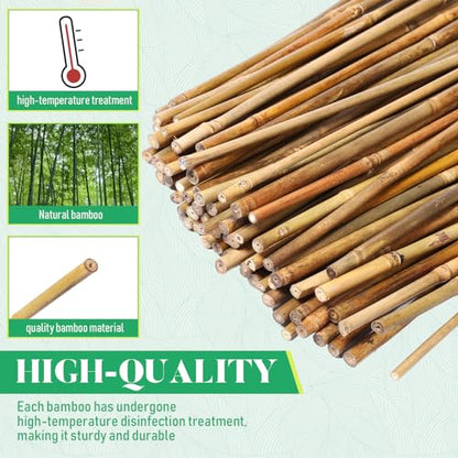 Suclain 100 Pcs Bamboo Plant Stakes Natural Garden Support Sticks,2 ft - size: 2 ft