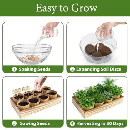 LUOJIBIE Indoor Herb Garden Kit, Complete Herb Starter Growing Kit with Seeds & Tools, Christmas Birthday Gifts for Women Men Mom Dad, House Warming New Home Kitchen Gifts for Girls Boys Plant Lovers