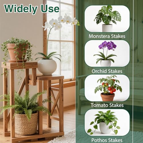 10Pack Stackable Plant Support, 2 in 1 Monstable Plant Stakes & Tomato Cage Kits for Indoor Outdoor Climibing Plants, Durable Alternative to Moss Pole Sticks Trellis for Houseplants Potted - size: 10 Pack