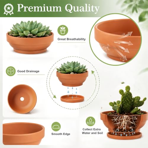 Laerjin Terracotta Pots, 6.43 Inch Shallow Planters with Saucers, 6 Pack - size: 6.43 inch+saucer