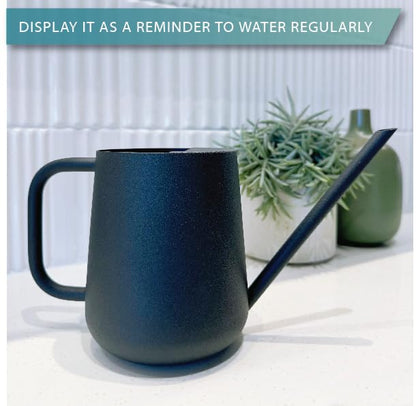 Metal Indoor Plant Watering Can with Long Spout 1000ml - Black - color: Dashing Black
