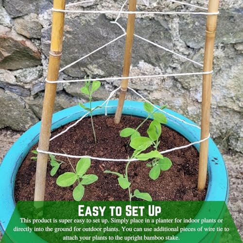 Farm Plastic Supply - Bamboo Garden Stakes - Bambo Sticks, Bamboo Plant Stakes for Outdoor Plants, Plant Support Stakes for Indoor Plants (4 Foot - 25 Pack) - size: 4 Foot - 25 Pack