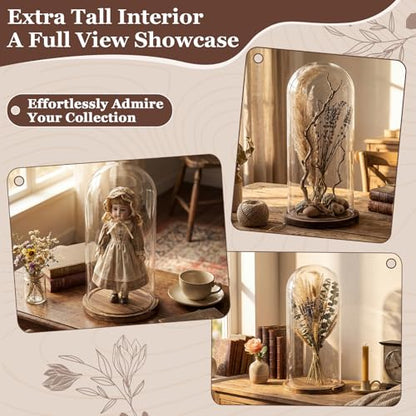 16'' × 8.66'' Glass Dome Cloche Display with Wood Base, Clear Display Jar - size: 8.66''×16''